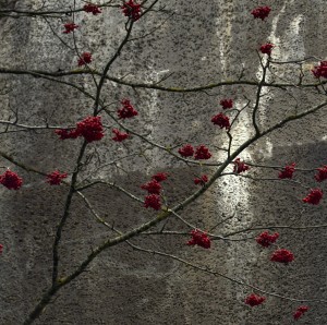 Fot. Renata Zwięglińska