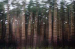 Fot. Małgosia Marczuk