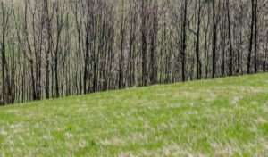 Fot. Małgosia Marczuk