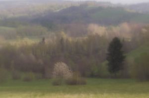 Fot. Małgorzata Juchnikowska