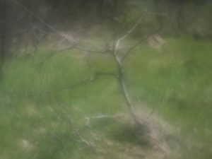 Fot. Małgorzata Juchnikowska