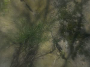 Fot. Małgorzata Juchnikowska