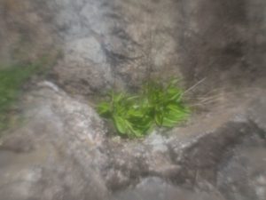 Fot. Małgorzata Juchnikowska