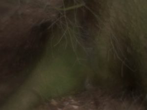 Fot. Małgorzata Juchnikowska