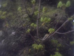 Fot. Małgorzata Juchnikowska