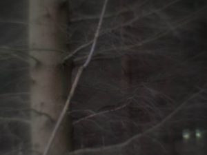 Fot. Małgorzata Juchnikowska