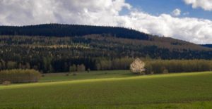 Fot. Małgorzata Juchnikowska