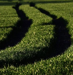 Fot. Krzysztof Tomaszewski