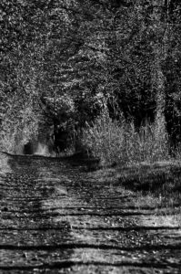 Fot. Krzysztof Tomaszewski