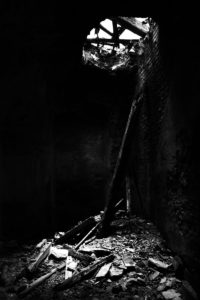 Fot. Krzysztof Tomaszewski