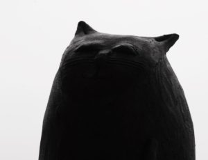 Fot. Krzysztof Tomaszewski