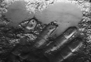 Fot. Krzysztof Tomaszewski