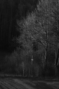 Fot. Krzysztof Tomaszewski