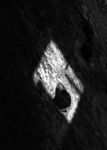 Fot. Krzysztof Tomaszewski