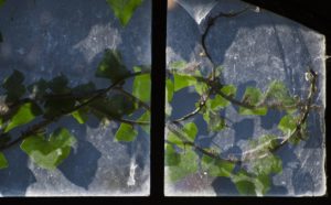 Fot. Małgosia Marczuk