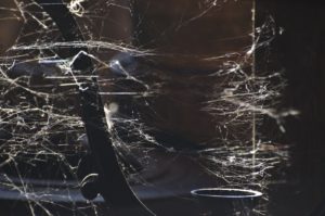 Fot. Małgosia Marczuk