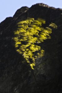 Fot. Małgosia Marczuk