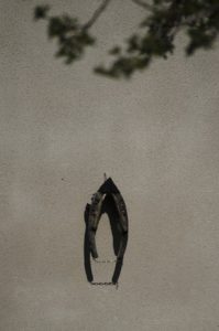 Fot. Małgosia Marczuk