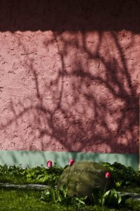 Fot. Małgosia Marczuk