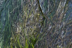 Fot. Małgosia Marczuk