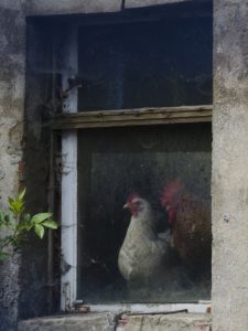 Fot. Małgosia Marczuk