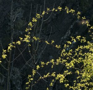 Fot. Zbigniew Kądzielski