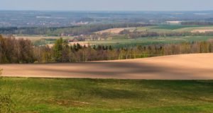 Fot. Zbigniew Kądzielski