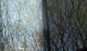 Fot. Zbigniew Kądzielski