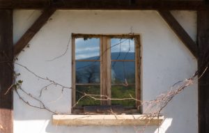 Fot. Zbigniew Kądzielski