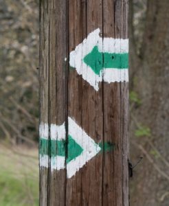 Fot. Zbigniew Kądzielski