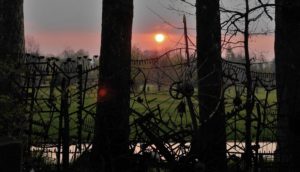 Fot. Zbigniew Kądzielski