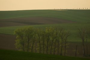 Warsztaty fotografii na Morawach