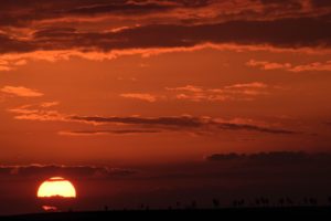 Warsztaty fotografii na Morawach