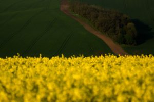 Warsztaty fotografii na Morawach