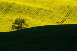 Warsztaty fotografii na Morawach
