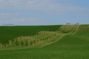 Warsztaty fotografii na Morawach