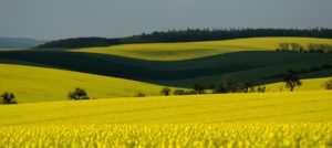 Warsztaty fotografii na Morawach