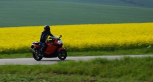 Warsztaty fotografii na Morawach