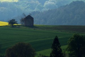 Warsztaty fotografii na Morawach