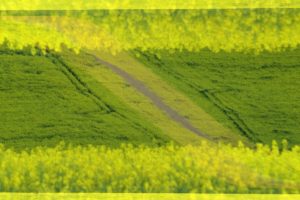 Warsztaty fotografii na Morawach