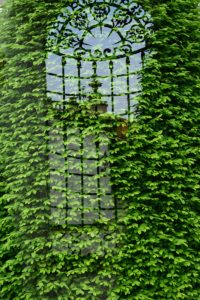 Warsztaty fotografii na Morawach