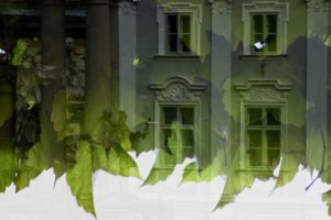 Warsztaty fotografii na Morawach