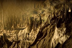 Warsztaty fotografii na Morawach