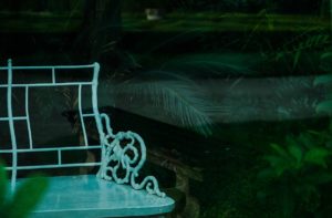 Warsztaty fotografii na Morawach