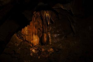 Warsztaty fotografii na Morawach