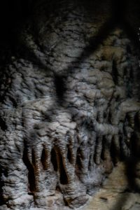 Warsztaty fotografii na Morawach