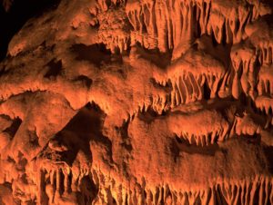 Warsztaty fotografii na Morawach