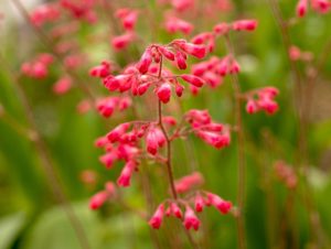 Warsztaty fotografii na Morawach