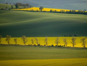Warsztaty fotografii na Morawach