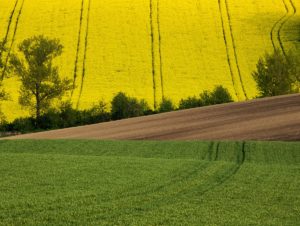 Warsztaty fotografii na Morawach